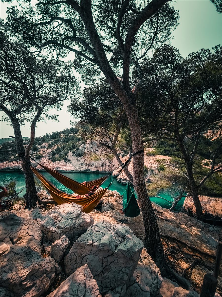 Hammock between pines above a calanque