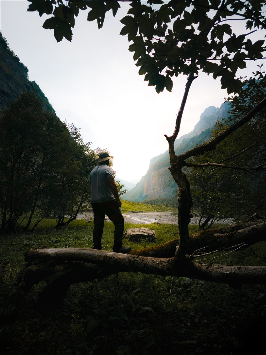 Hiker under a tree facing the valley