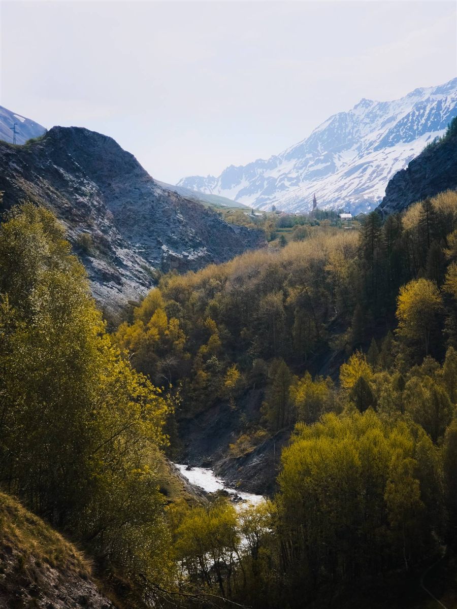 River in a forested valley below snowy mountains