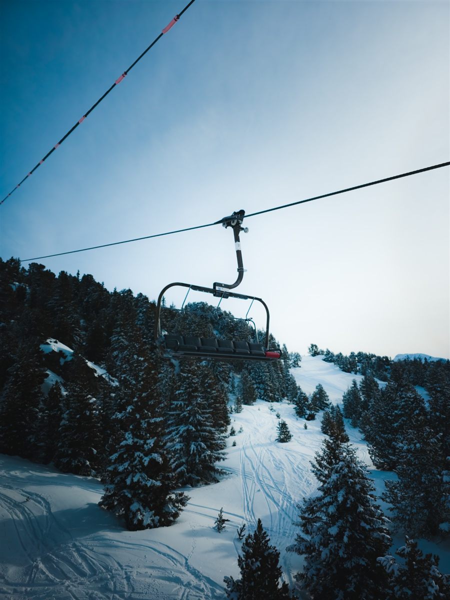 Chairlift above snowy pine trees