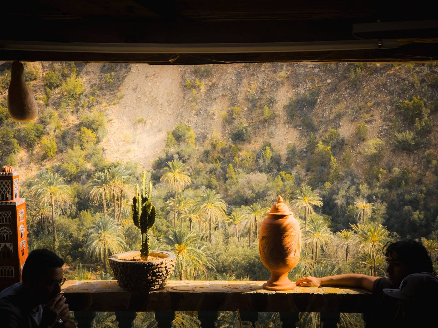 Cactus and clay jar facing a palm grove